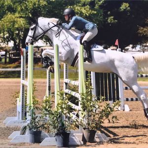 Meet your Posher, Brynley